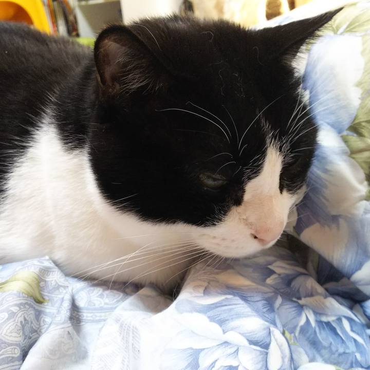 E1dbb36f 5517 41bb a78b 859a42972f8a 1546131485516