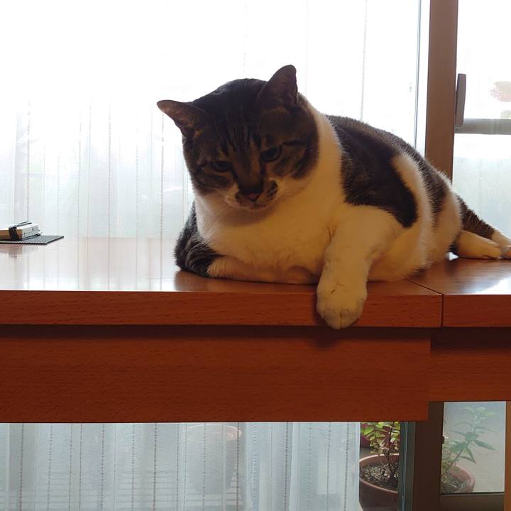 E1dbd1e0 d732 4443 be12 f20c884b66fb 1623550615266