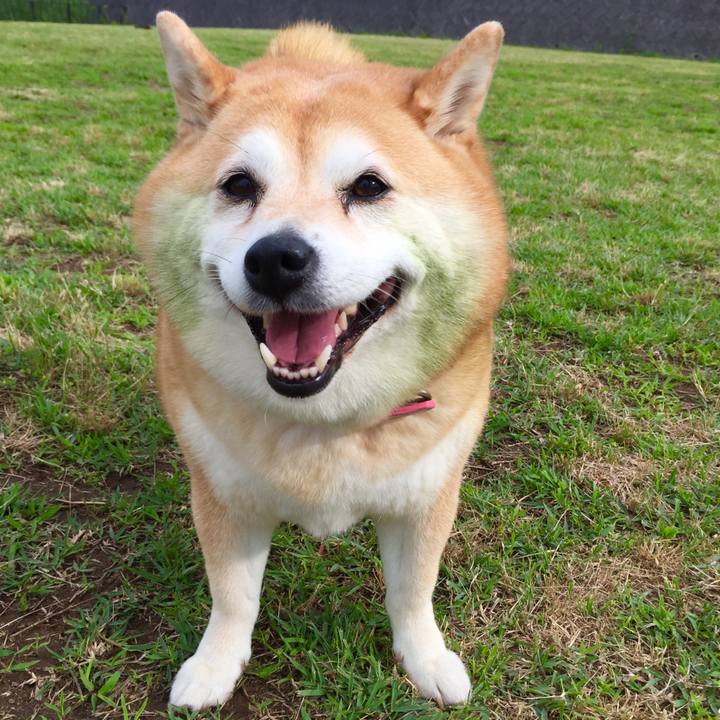 E1dbff02 3914 48f5 b551 3f03cfcee242 1622269301922