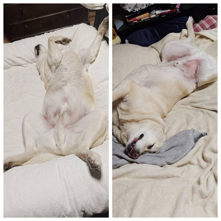 E1dbff54 a475 4774 b5e9 d67849ded6fd 1744160741256