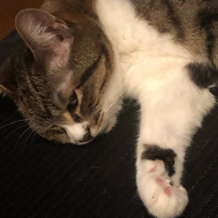 E1dc2652 5c90 4bb1 bb29 6ccd285f4f57 1590054354385