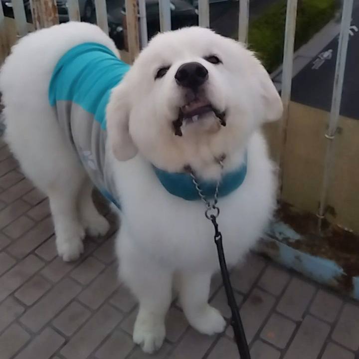 E1dc326e 7e78 4896 a1c0 856f29e12529 1692483742418