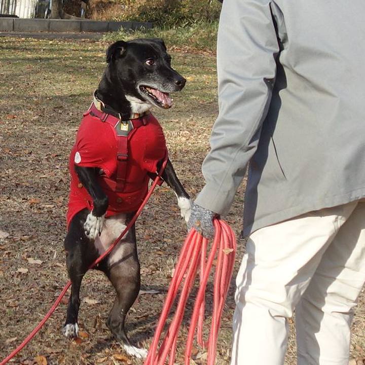 E1dc37bd c151 45ec 88f6 ee59723ebe9f 1703033378780