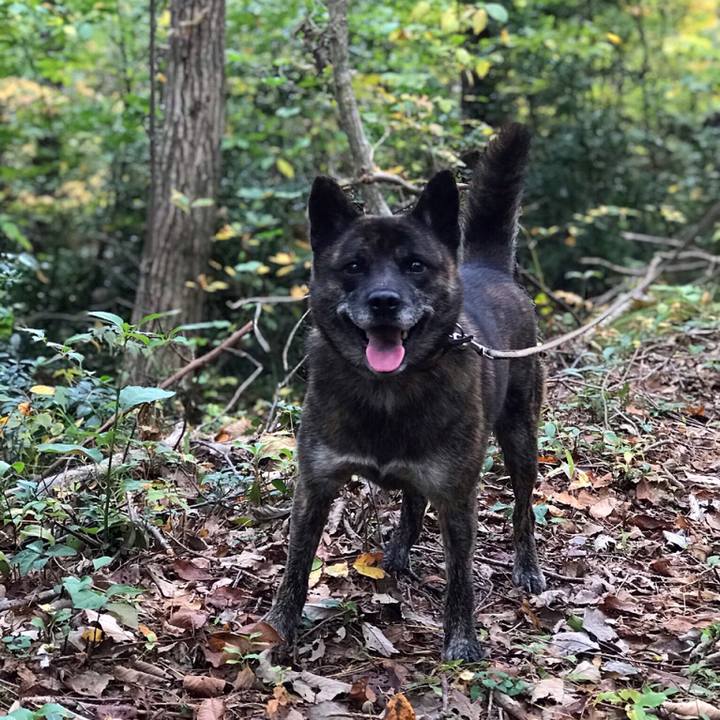 E1dc73bb 254c 47aa 9d50 69aa30bb7d89 1572763929456