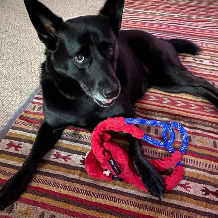 E1dc8335 bc4f 47dd b4a0 a890687ebf11 1630200155182