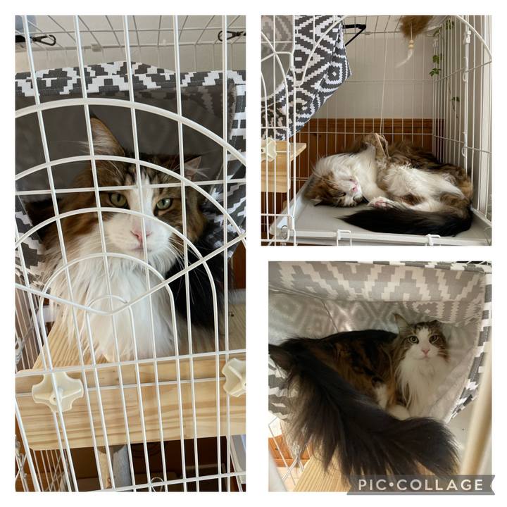 E1dc86a5 bad2 4c66 a02f a9360f3dda33 1685766831808