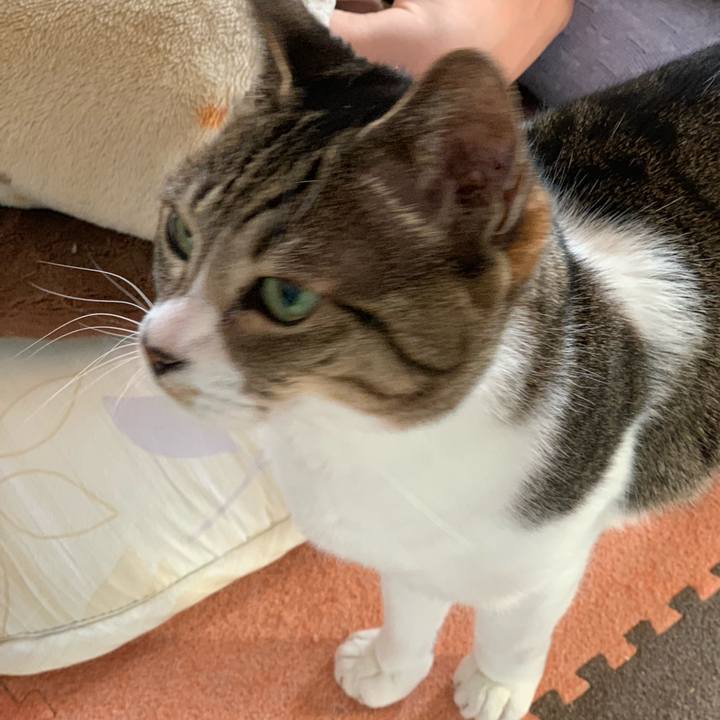 E1dc8d9f 4528 417b 96be 787aa81afdab 1549328710027