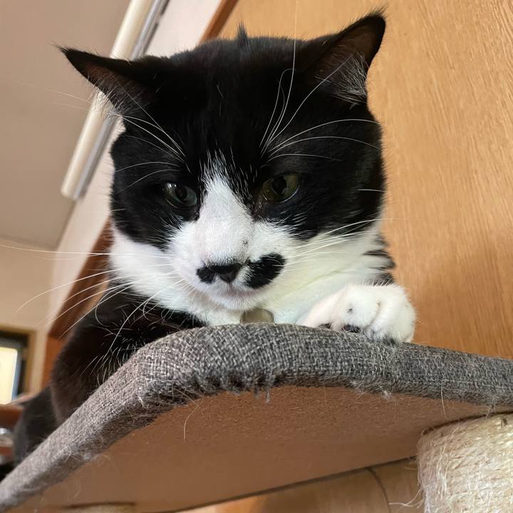 E1dc8e92 b063 4602 b800 41dc8eb570f8 1733360328697