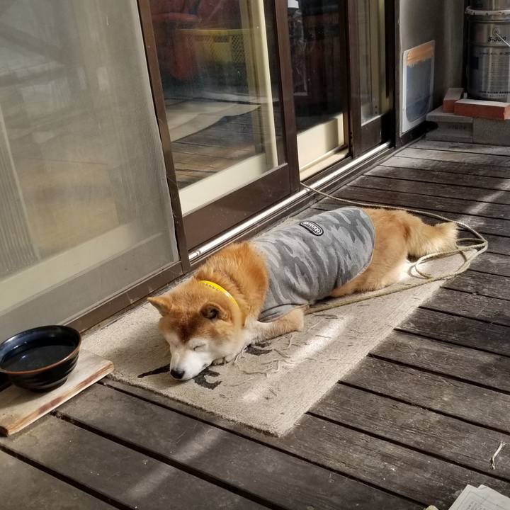 E1dca27e 2466 465e 9700 a478faf9fc3b 1677030430363