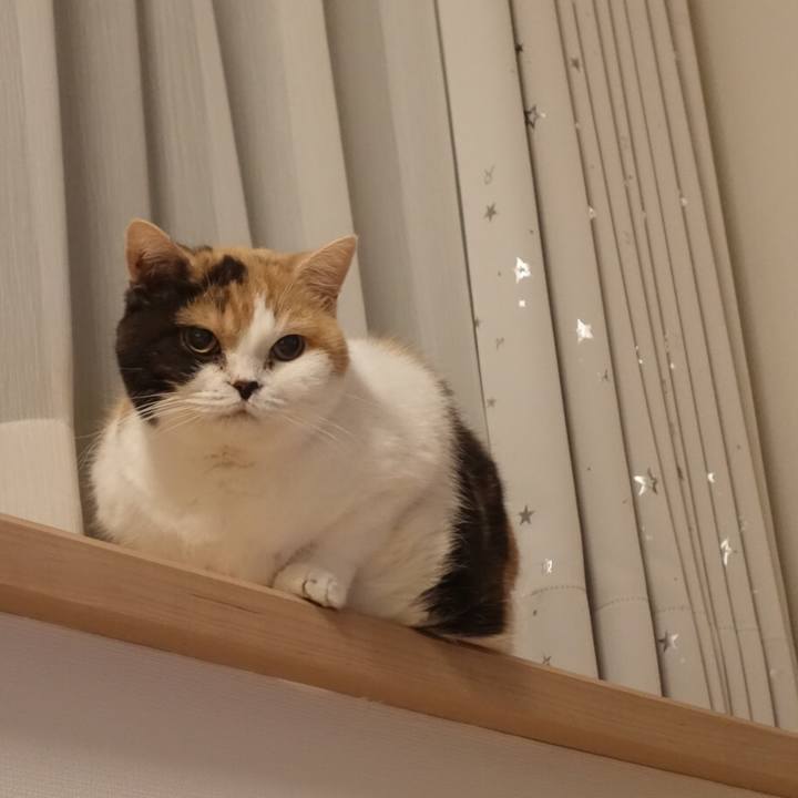 E1dcaa96 2eda 4327 beea 9c666378d716 1577785173107