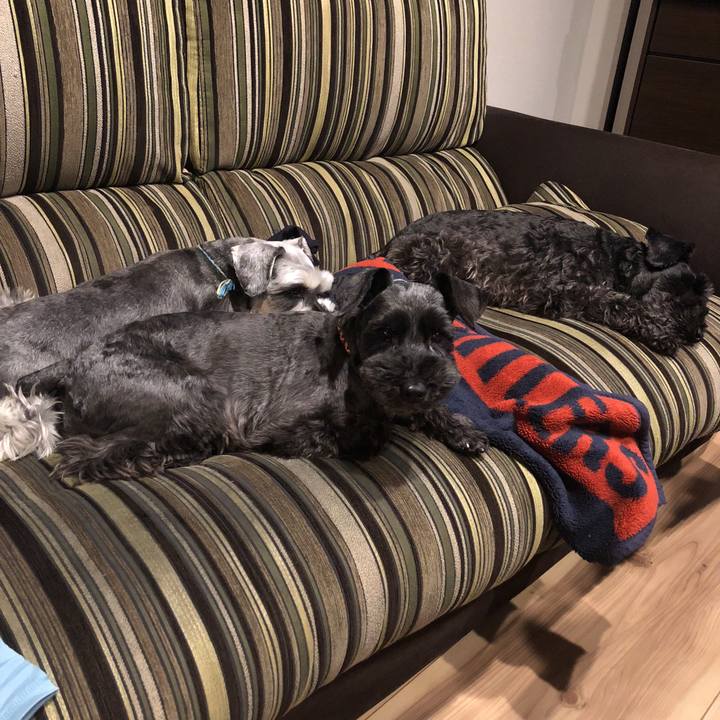 E1dcc02d 5842 4da7 9906 d2440fd003a6 1525166033954