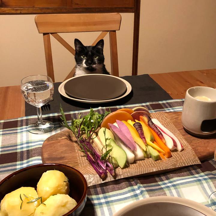 E1dd03b1 c23c 40e3 bf30 d2b11381ae3c 1573293729433