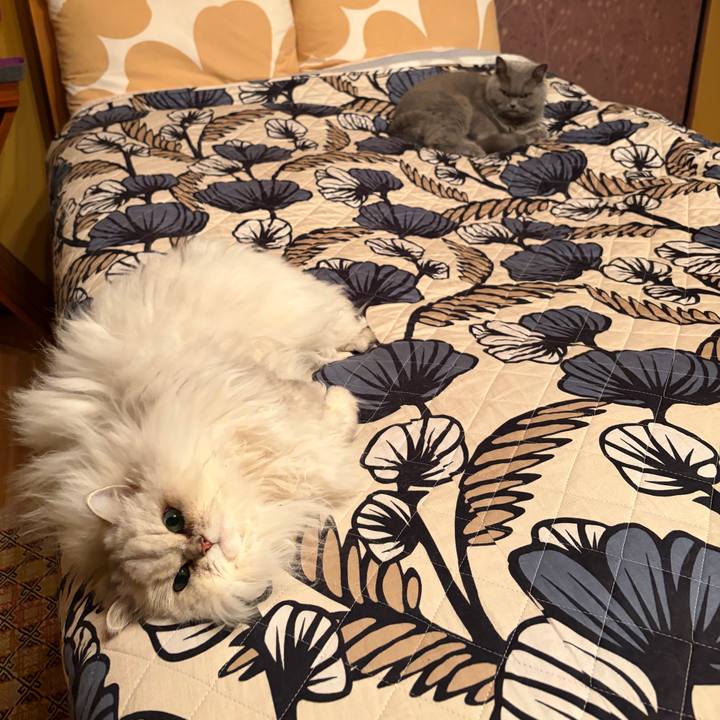 E1dd3373 9d80 4ead 92ab f41d8b050c71 1770127562084