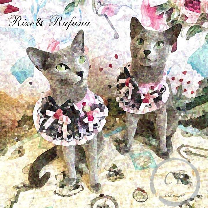 E1dd44ba 870d 40f7 b245 3e74b6bef180 1690868746044