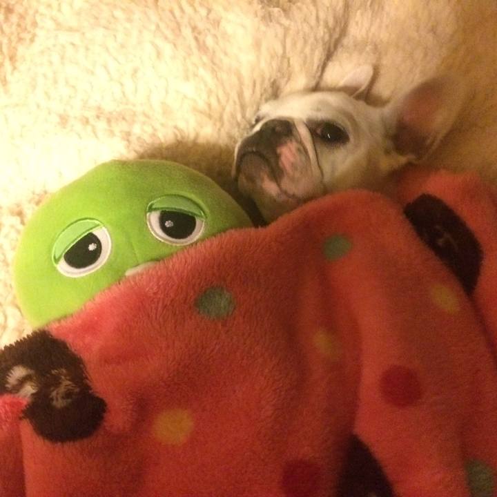 E1dd4673 4daf 484e 9475 eafb6da1d8c3 1513692899111