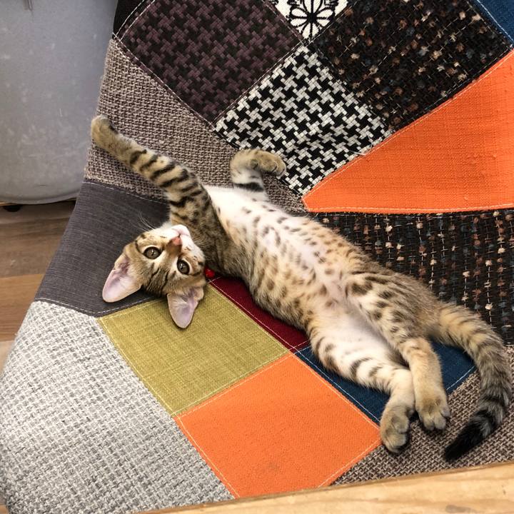 E1dd55ac 280d 4c78 b3a9 8ebdb70a17a9 1577432633561