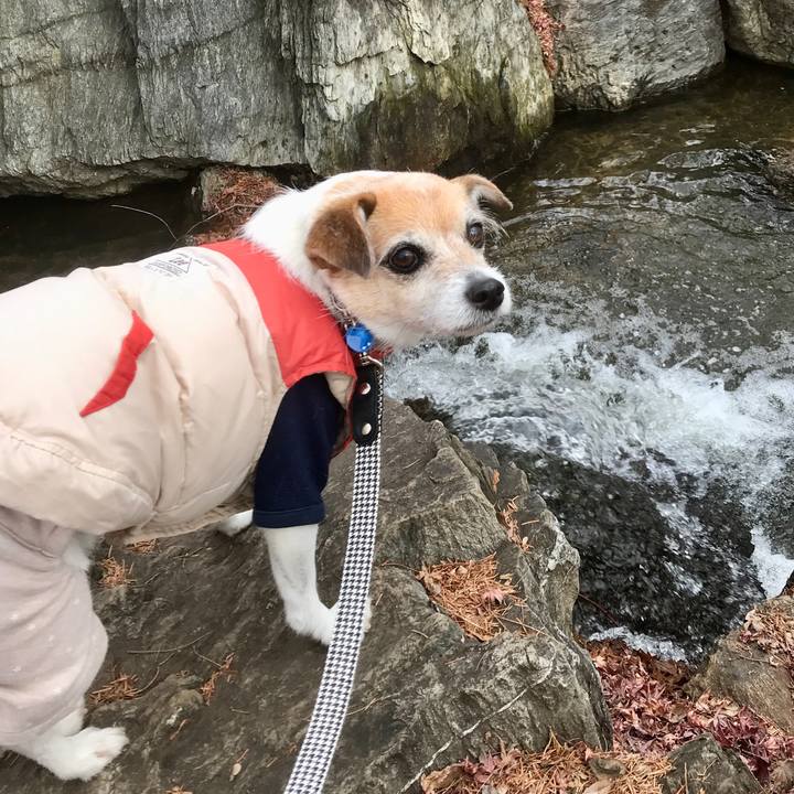 E1dd6491 f5c1 4597 aa42 6ec2e41fdd1f 1641794405713