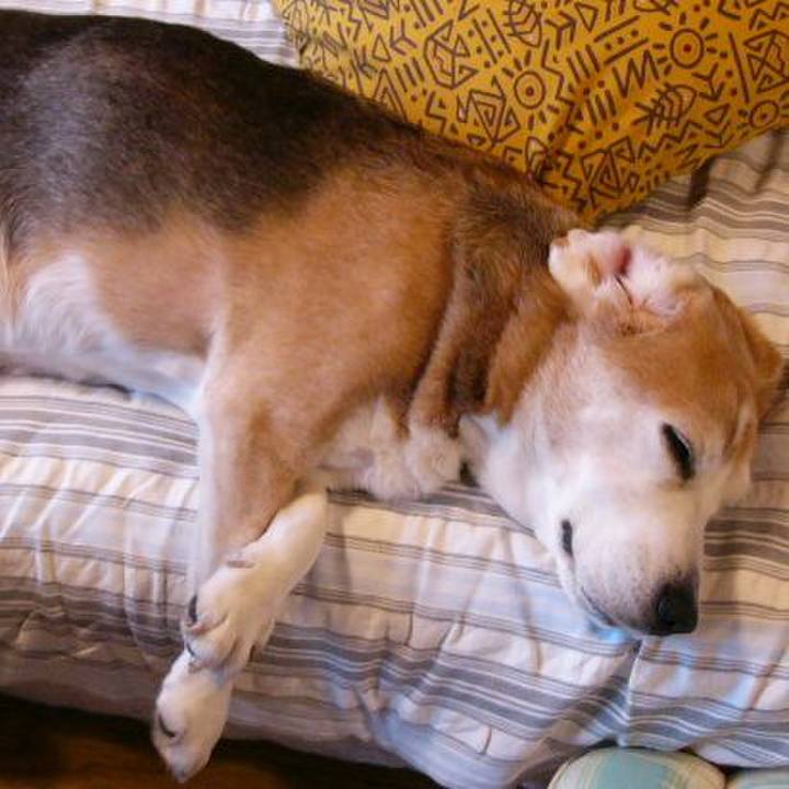 E1dd67ab 00c0 49d4 8dfc 453356afe4a8 1663374474181