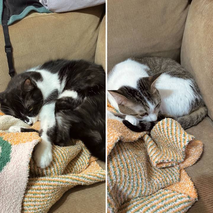 E1de37cb fec4 453f 9f6b 80992447c56f 1766320161923