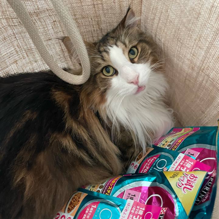 E1de5e14 d9ef 4cab 9335 f2285f1ef710 1686693906930