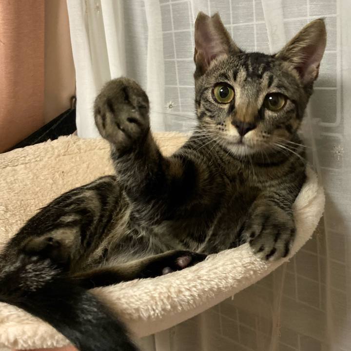 E1de7a3f f2ff 48d9 b29e 1cc5eefc5b06 1604532334048