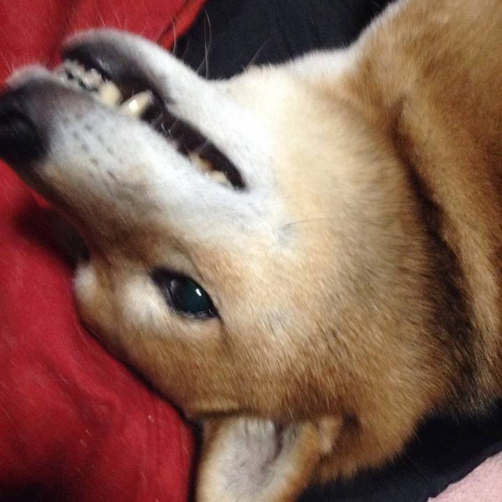 E1de7cbb c855 482d 9f9a 1673520fc7ad 1517751802097