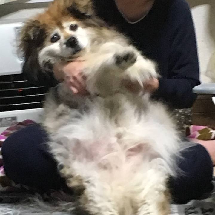 E1de9253 ce6b 4b80 950b 07146a90e20a 1577070624555