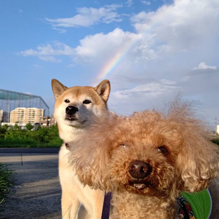 E1de9c39 b604 46a3 aa68 c639787355cf 1630830328875