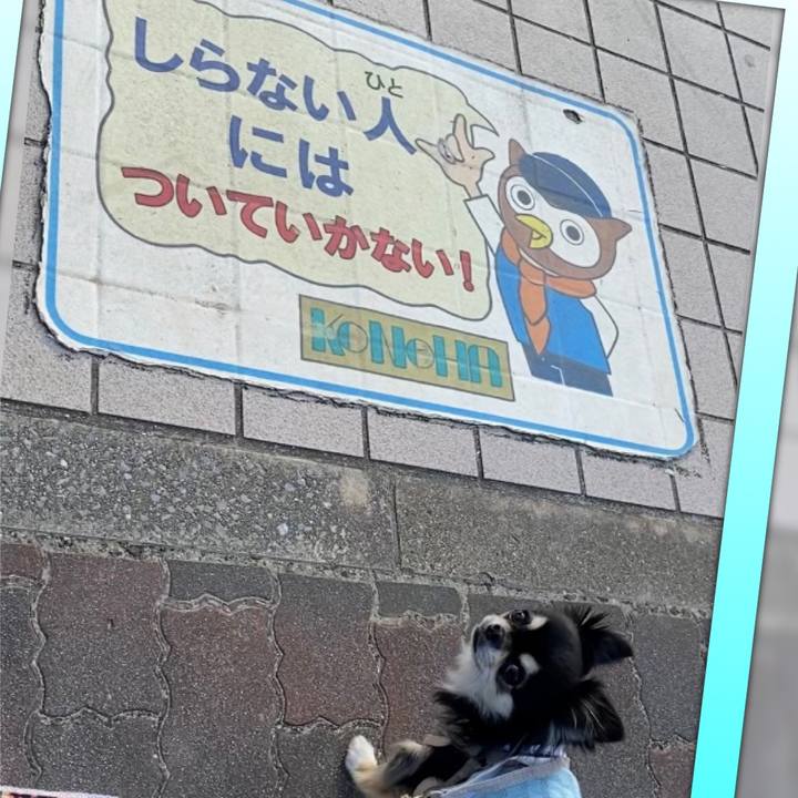 E1dea0ce a323 434e b373 026cf7d00b08 1634086178892