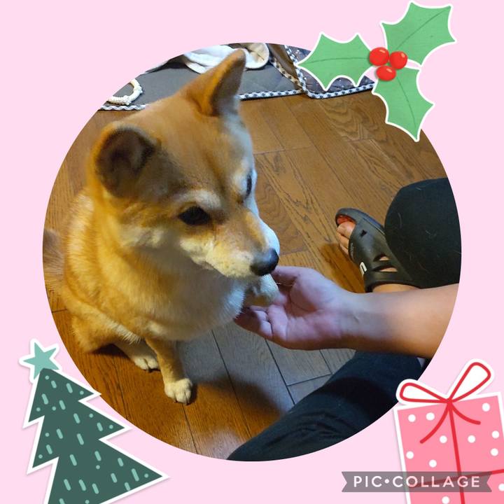 E1dec442 b260 4d1e afea cd9014393577 1703380745738