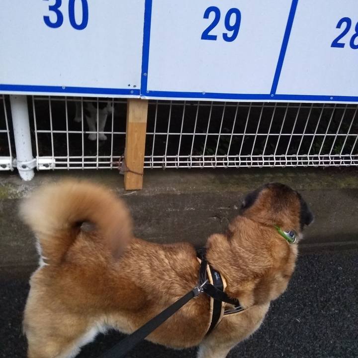 E1deee8f 033d 4fc4 a8a1 33dcd3e21f4f 1561977030078