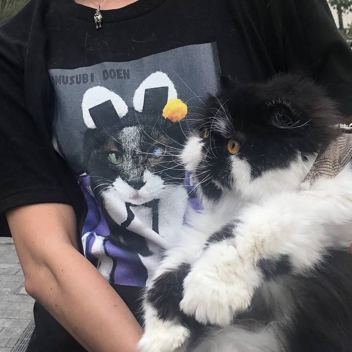 E1defccb 6dbd 4be6 b152 7e9242308eab 1699178816241