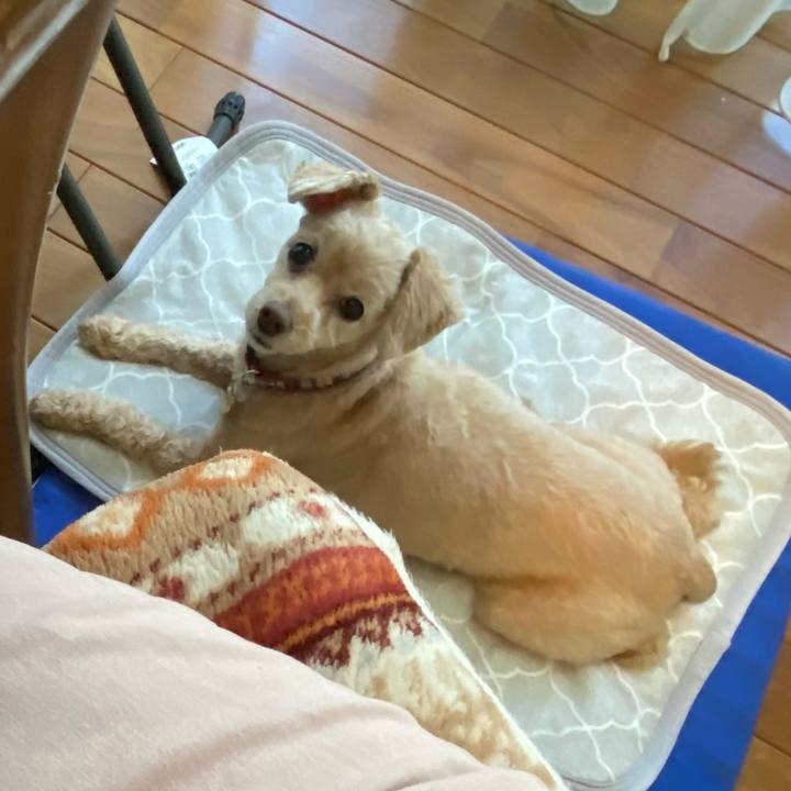 E1df1fd9 5b15 4875 8831 7fa844832bc6 1659312772895