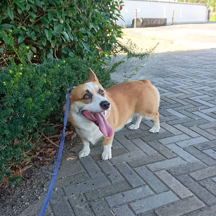 E1df2174 d691 40d4 bbb5 0f243d65a5b1 1601180788720