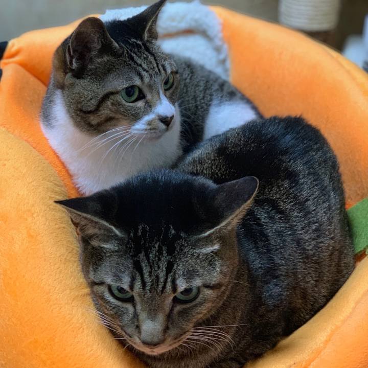 E1df707a a606 4b1f 8db5 c253025753d2 1548810806533