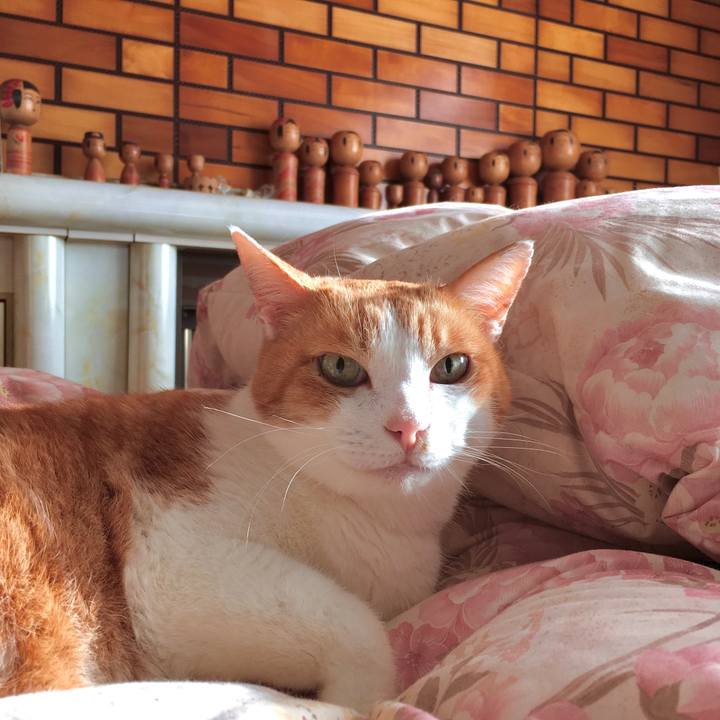 E1dfa45c d65d 448b b961 b5b5277e8e42 1574228886059