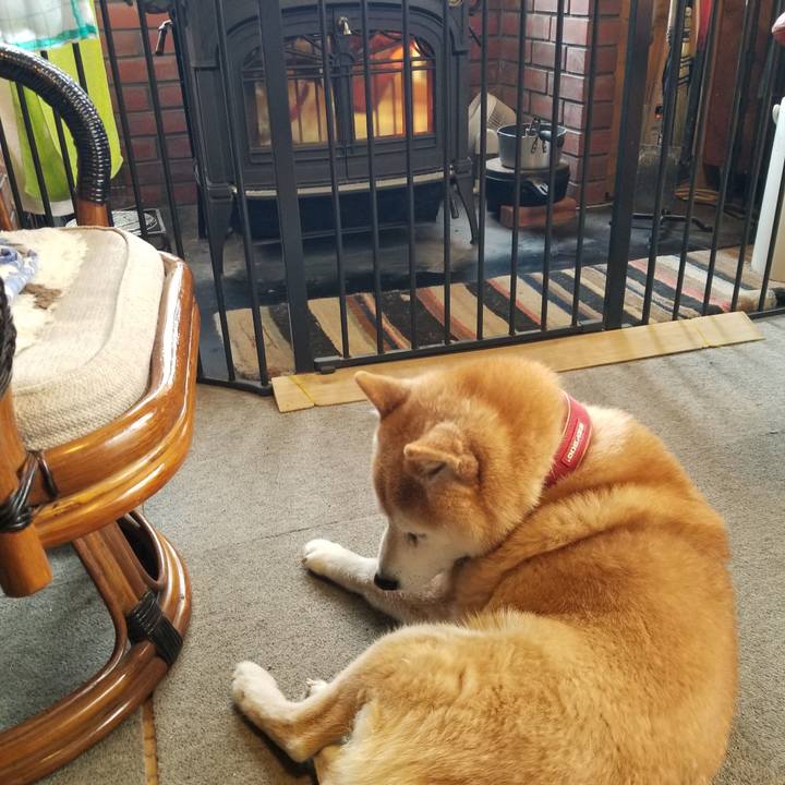 E1dfd037 4595 4365 b518 7157c4f20a1c 1735867800408