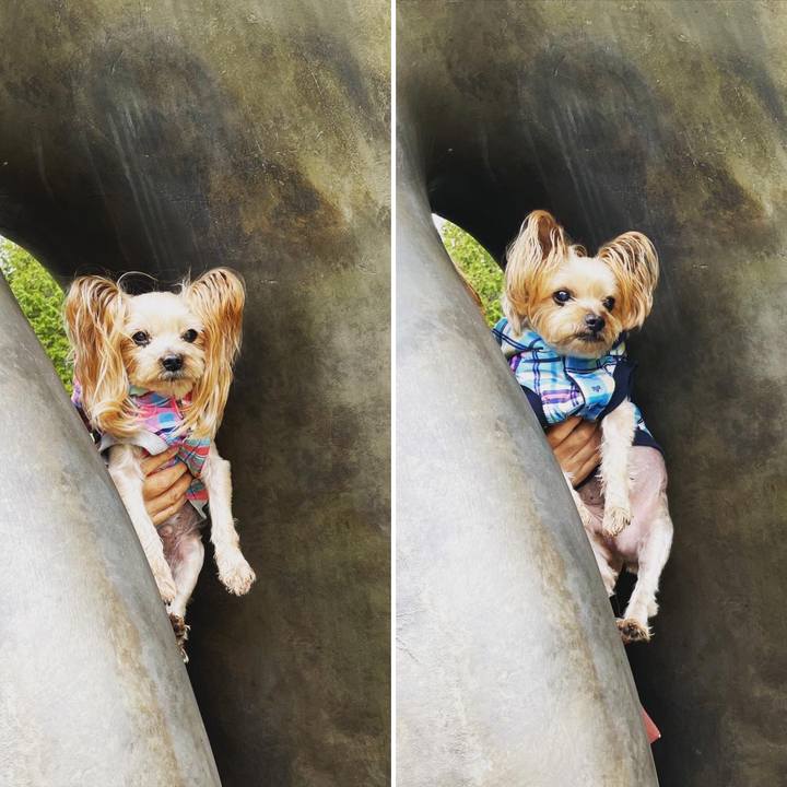 E1dff7b2 e393 425c 812c 844a2a83ad66 1635847349025