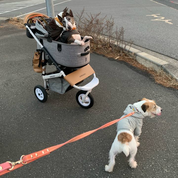 E1e06494 d505 44bb 9c7a 3ccb7301d03e 1610796018168