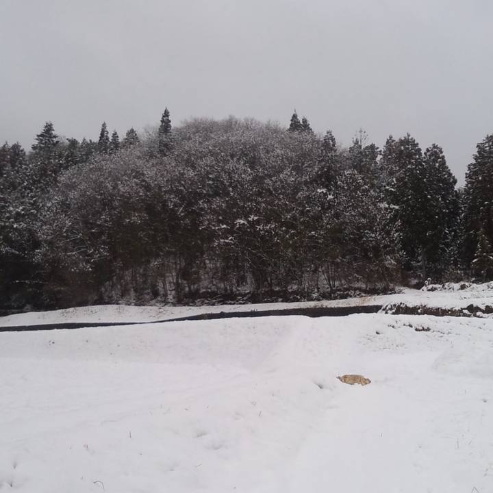 E1e09eca ce09 4328 ace9 06001706fb22 1578943873295