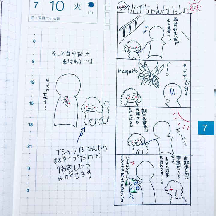 E1e0df75 13ee 436e a734 3ae889deea46 1531230638270