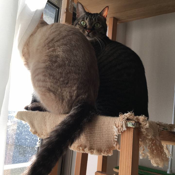 E1e120c6 db4e 494a 8a0a 6376bf604bee 1583557715826