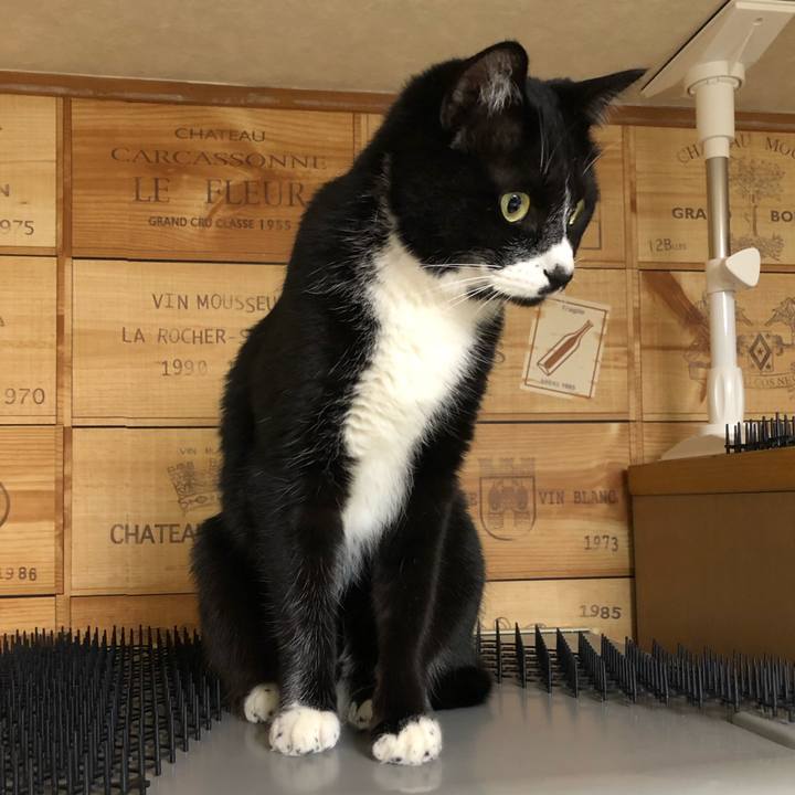 E1e1339d 0058 4cc9 8d6b 9dfa75cea9be 1553399151743