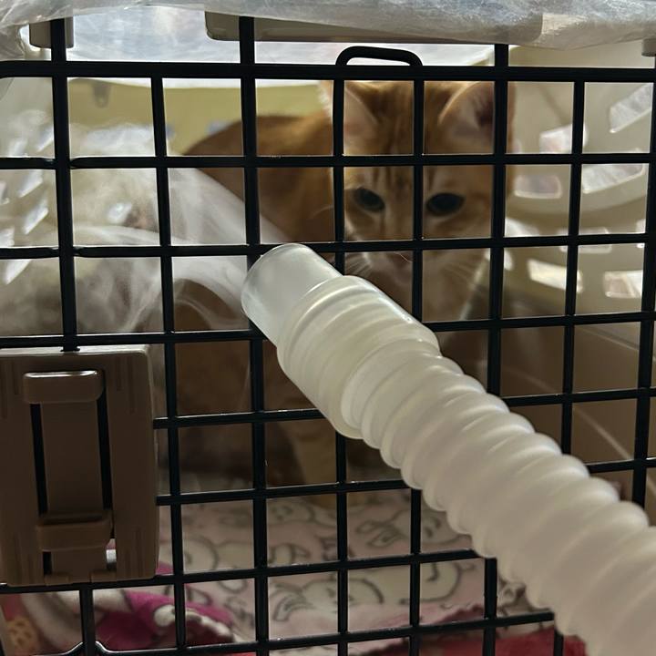 E1e1787a d967 477c 80a1 32ba2f5a68ab 1678707940028