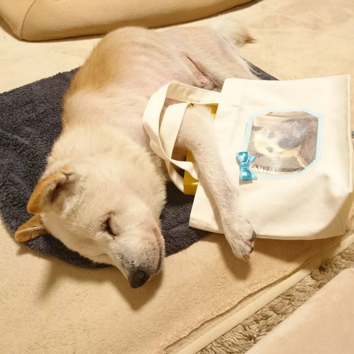 E1e1be99 3e11 404d aa07 1dc1fc2876b0 1533215765927