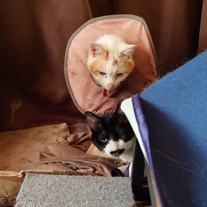 E1e1f56c 95b7 497c 91b5 83b3e21a9a99 1766875636295