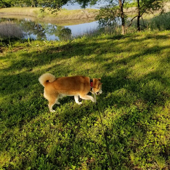 E1e243c3 bfc6 480a 8dd7 ff06b53b2c64 1717228960892