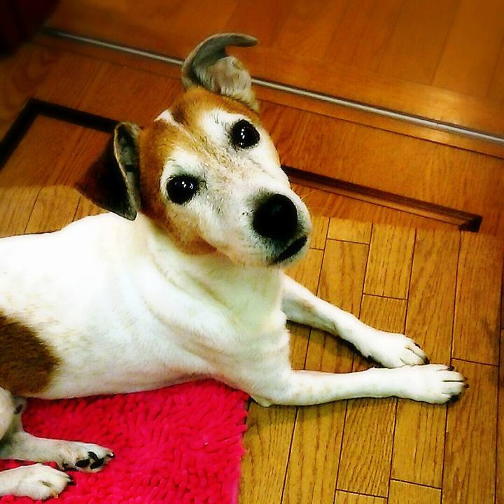 E1e2728c 9866 4998 b484 434425d5ef5b 1511673026650