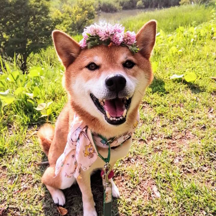 E1e2964f 503f 4f1e 8605 43e5a9cfdbde 1625904125745