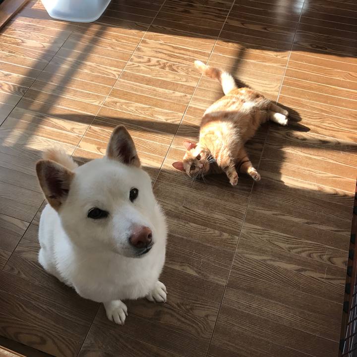 E1e2c40d 94a6 46ac 8d64 aacb626982ff 1516754508030